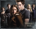 49 věcí o Twilight